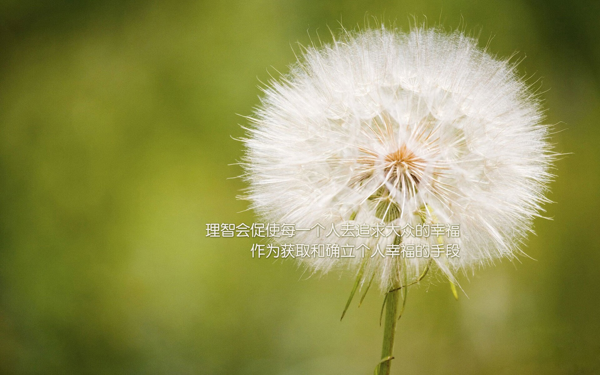九游网页版官网-摩洛哥队在巴黎奥运会男足比赛中以0-1输给西班牙，摩洛哥足球队