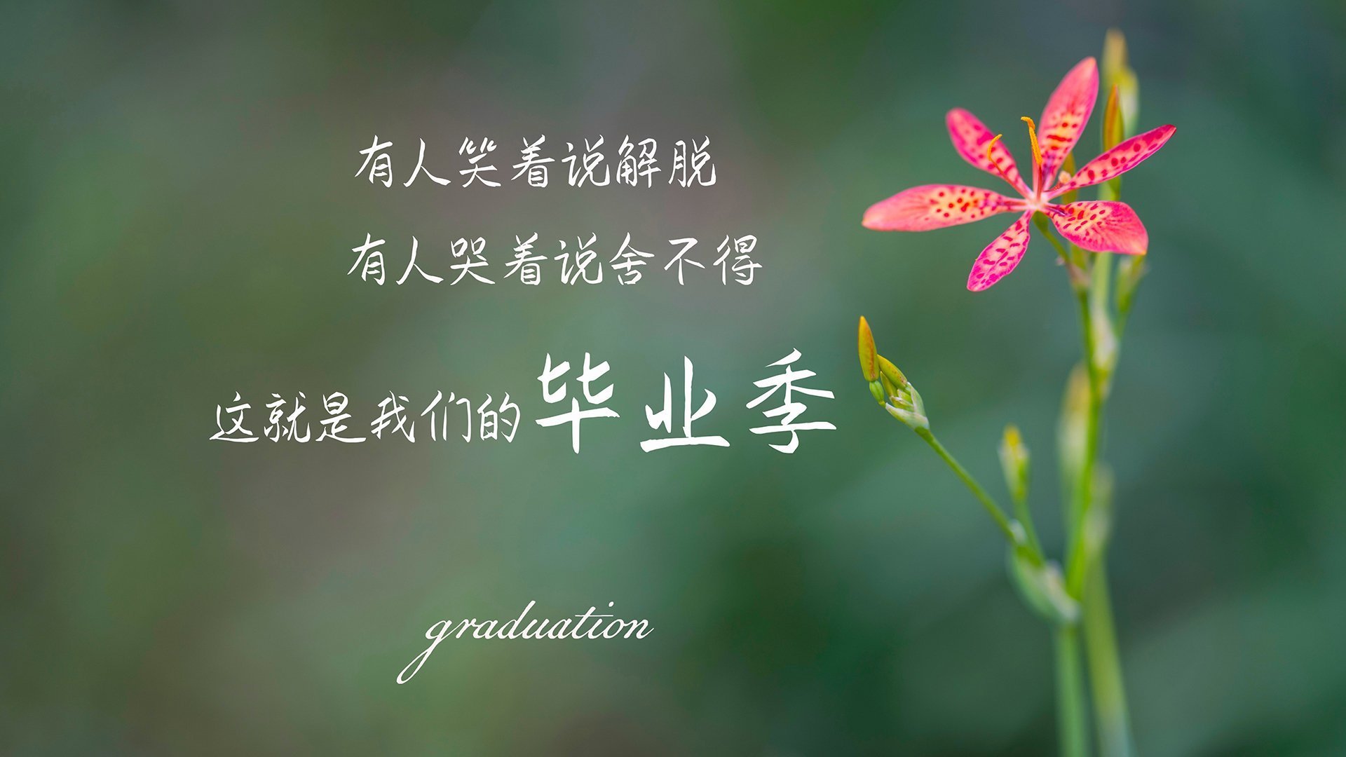篮网球星参与环保清洁日，鼓励青少年环保意识，篮网球队海报