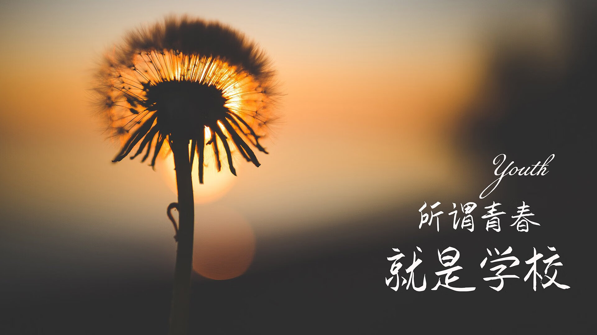 青年领军计划激励年轻球员，打造中国篮球未来之星，国家篮球青年队年龄限制