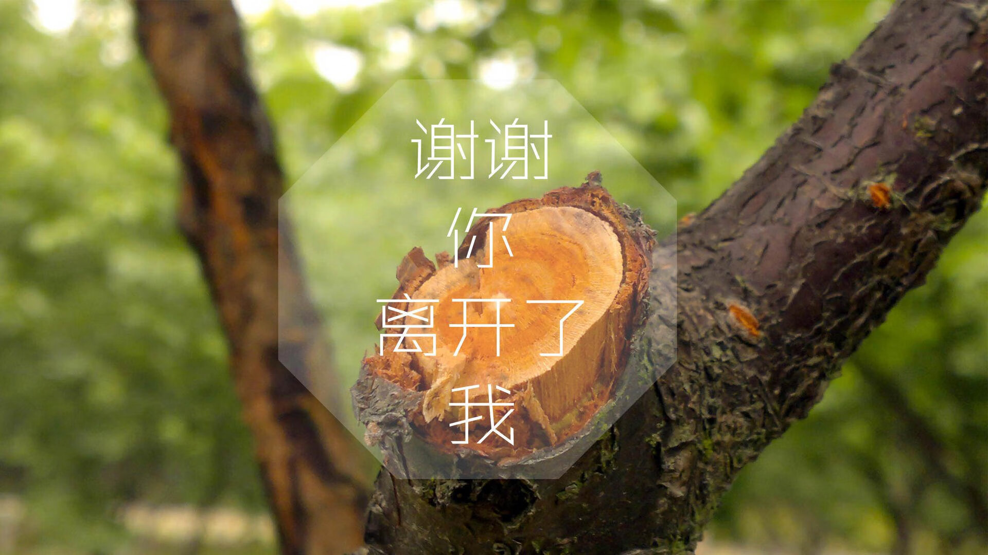 阿尔阿赫利新援融入球队迅速，阿尔阿赫利什么意思