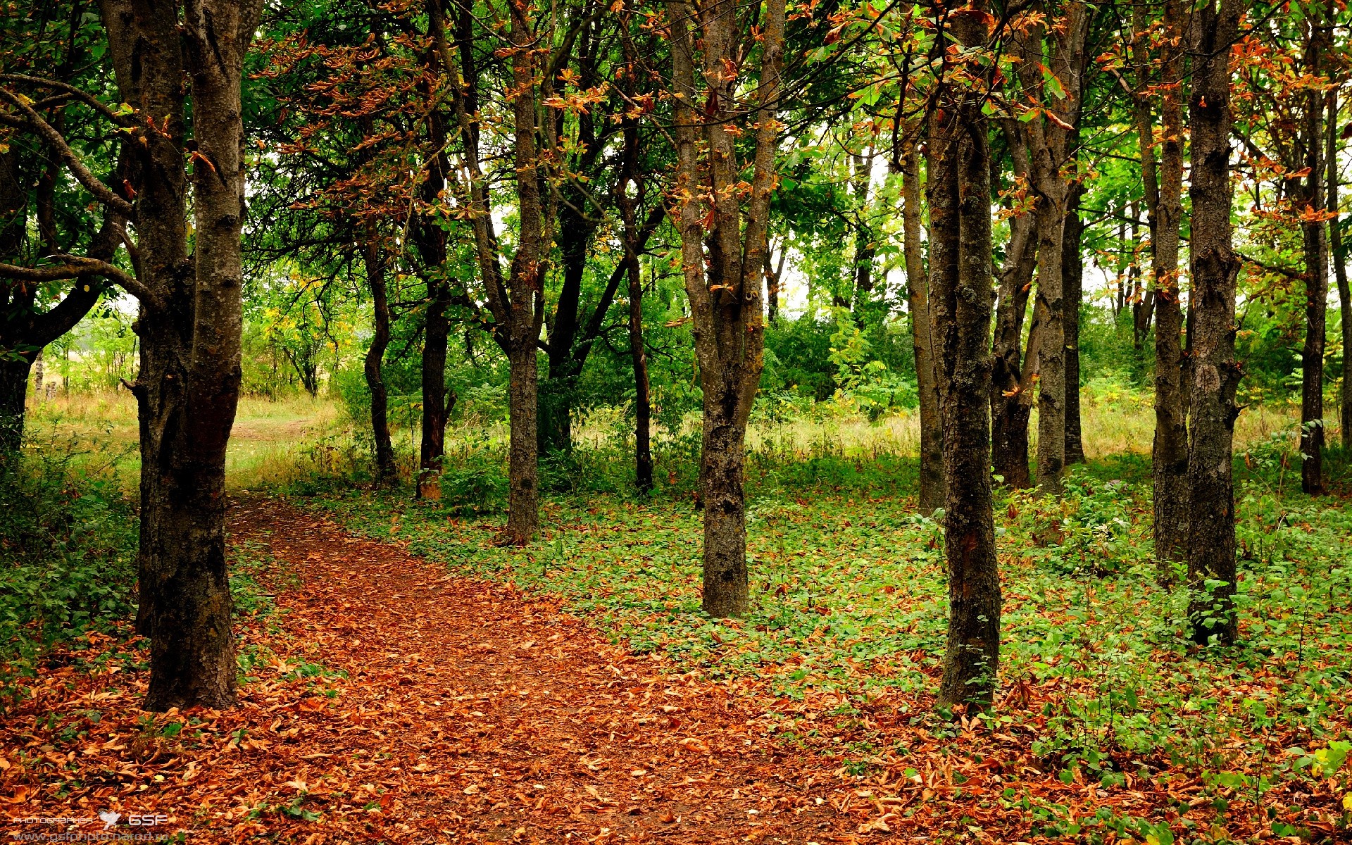 庞蒂冲线时刻引爆全场欢呼,庞蒂克所有车型报价