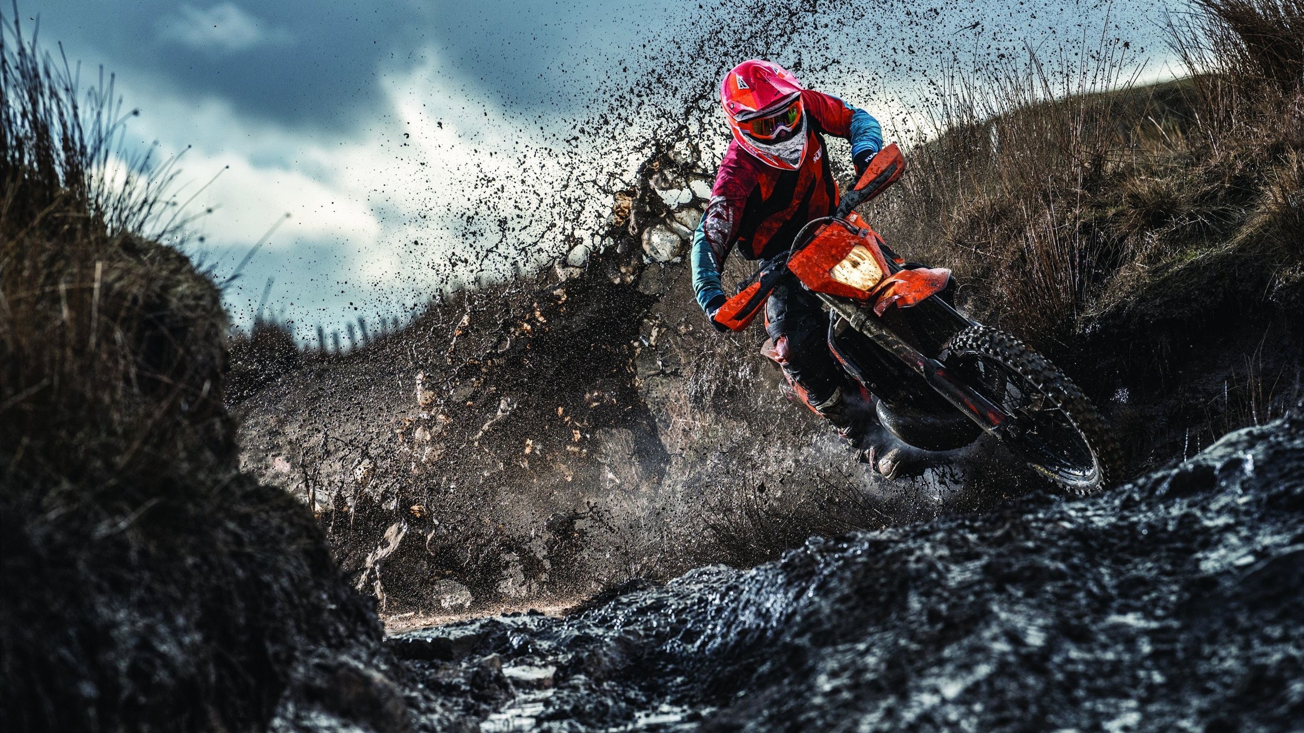 《电竞选手的职业保险保障:行业新趋势》,职业电竞选手的要求