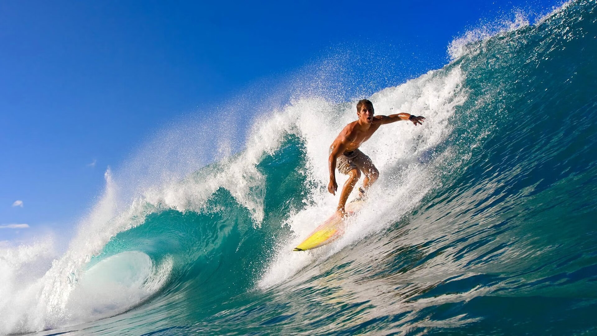 【全景直播】利用VR技术体验入场感受，vr实景体验